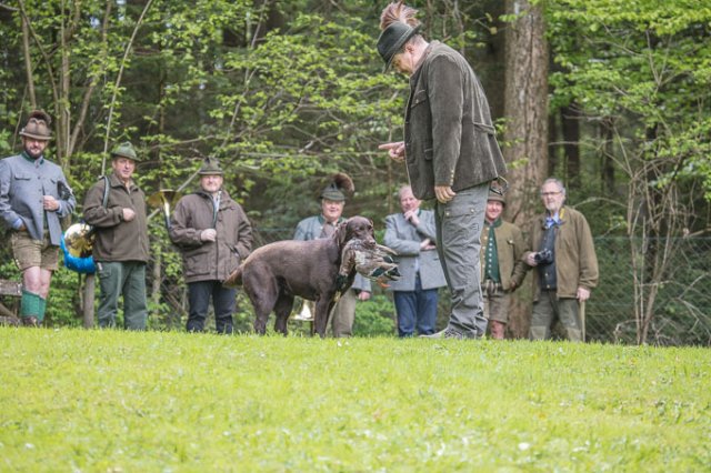 Hundepräsentation 2019